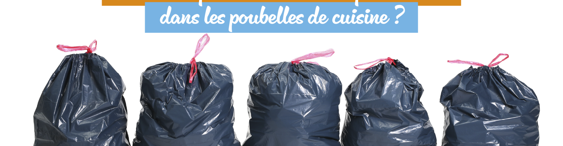 images-de-sac-de-poubelles