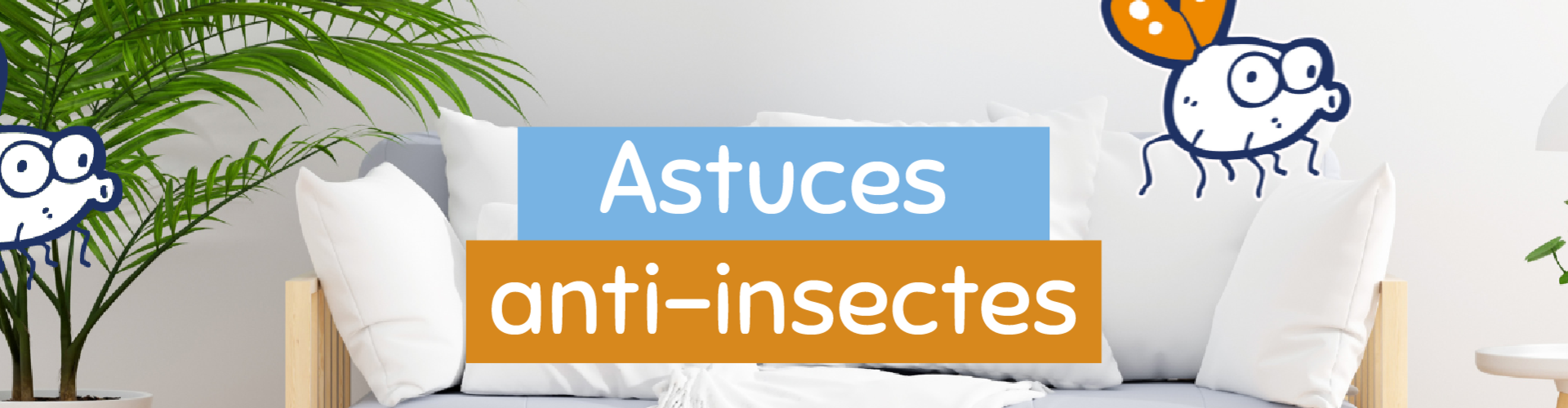 salon avec des insectes-mouches -astuces-pour-s'en-debarasser