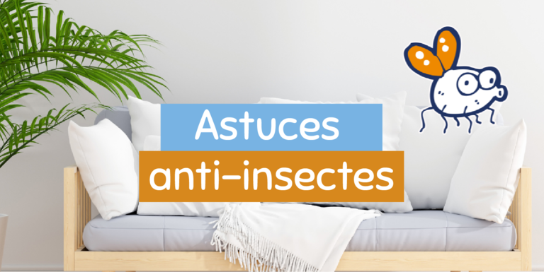 salon avec des insectes-mouches -astuces-pour-s'en-debarasser